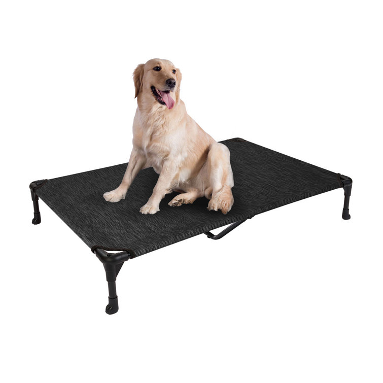 Outdoor elevated dog bed new arrivals